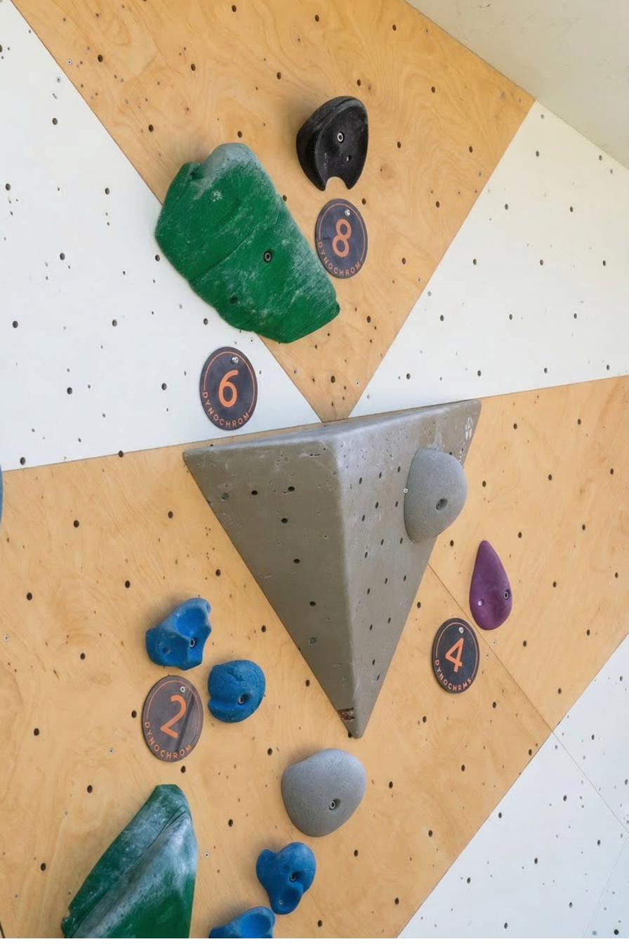 Boulderwand mit nummerierten Setline-Routentags neben den Griffen